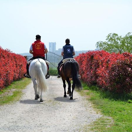 Vento Barocco - Equitazione E Turismo Villa มาเตรา ภายนอก รูปภาพ