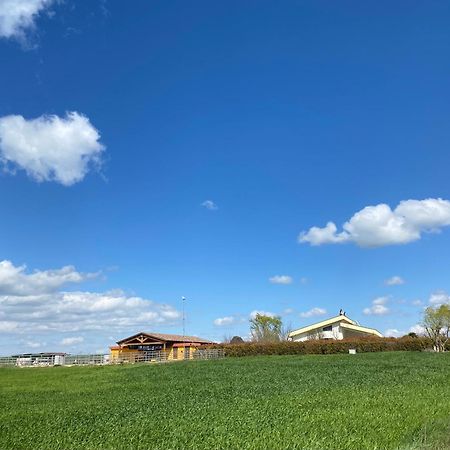 Vento Barocco - Equitazione E Turismo Villa มาเตรา ภายนอก รูปภาพ