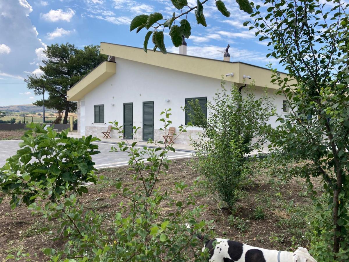 Vento Barocco - Equitazione E Turismo Villa มาเตรา ภายนอก รูปภาพ