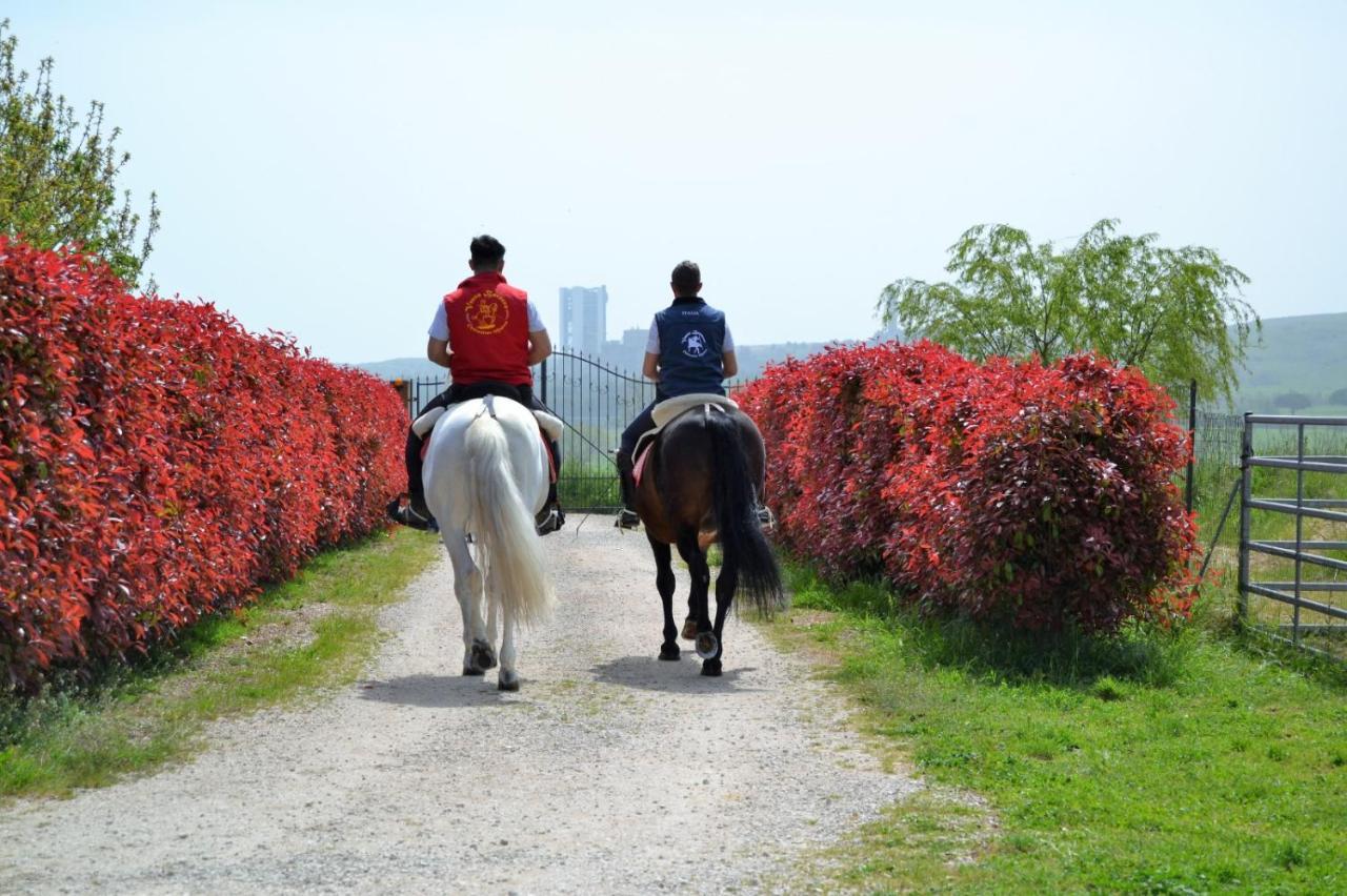 Vento Barocco - Equitazione E Turismo Villa มาเตรา ภายนอก รูปภาพ
